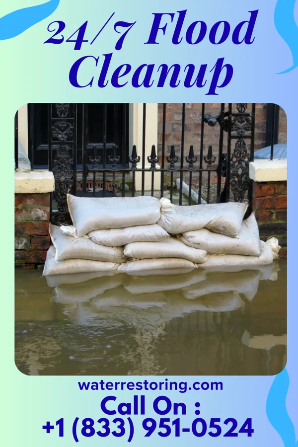 24/7 Flood Cleanup in Schooner Bay, VA