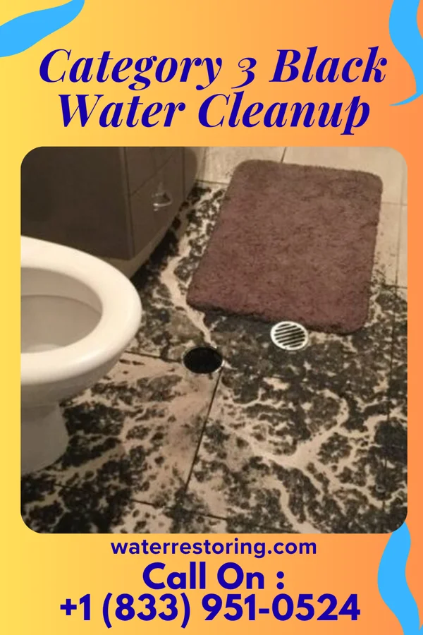 Category 3 Black Water Cleanup in Schooner Bay, VA