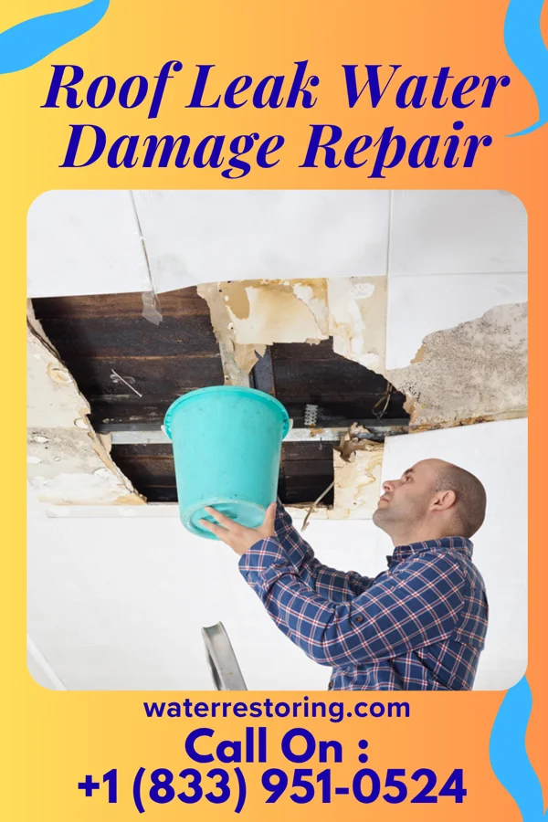 Roof Leak Water Damage Repair in Schooner Bay, VA