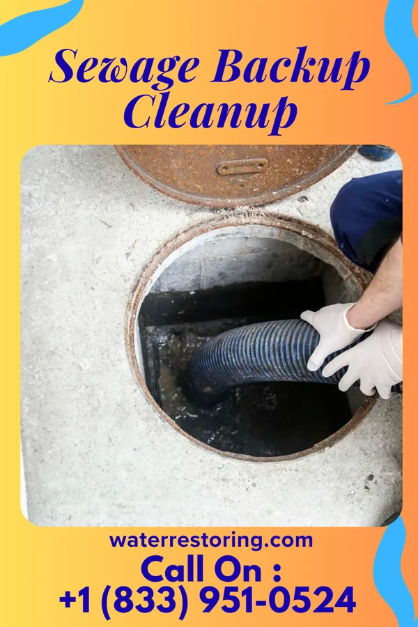 Sewage Backup Cleanup in Schooner Bay, VA