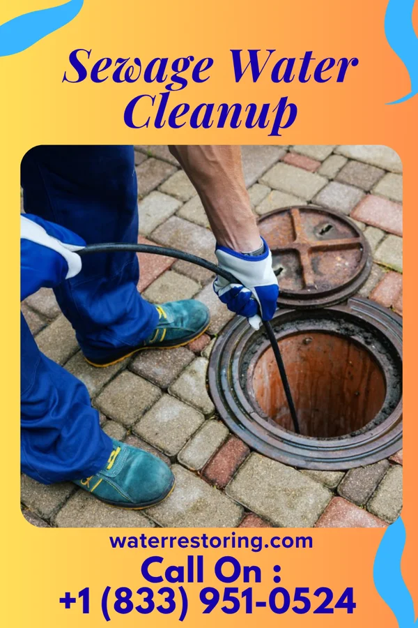 Sewage Water Cleanup in Schooner Bay, VA